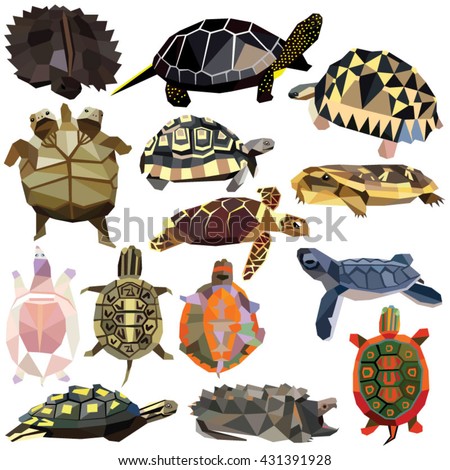 Turtle Tortoise Terrapin set colorful low poly designs isolated on white background. Vector animals illustration. Collection in a modern style.