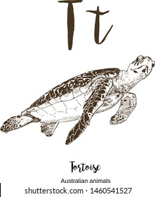 Turtle or tortoise, A to z, alphabet sketch australian animals drawing vector illustration. Vintage hand drawn with lettering. Letter T for turtle. ABC.