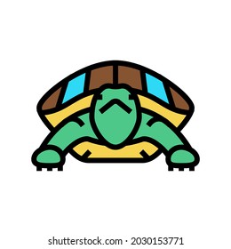turtle tropical color icon vector. turtle tropical sign. isolated symbol illustration