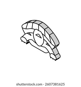 turtle tropical isometric icon vector. turtle tropical sign. isolated symbol illustration