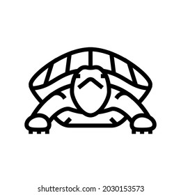 turtle tropical line icon vector. turtle tropical sign. isolated contour symbol black illustration