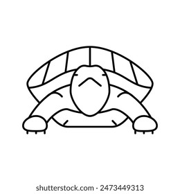 turtle tropical line icon vector. turtle tropical sign. isolated contour symbol black illustration