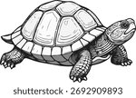 Turtle, uncolored, no background vector