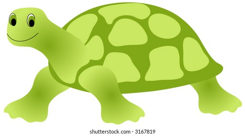 Turtle vector