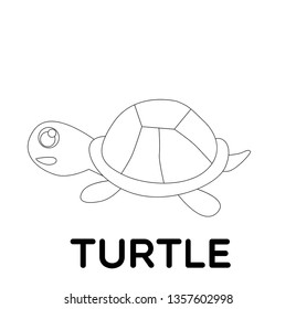 turtle, vector animal cartoon, coloring book or page