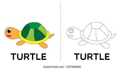 turtle, vector animal cartoon, coloring book or page