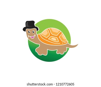 Turtle Vector Animal design and nature 
