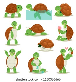 Turtle vector cartoon seaturtle character swimming in sea and sleeping tortoise in tortoise-shell illustration set of reptile hiding in turtle-shell isolated on white background