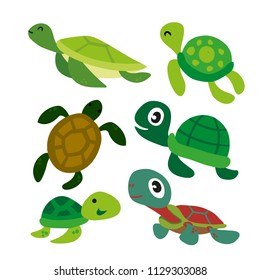 turtle vector collection design