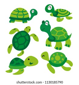 turtle vector collection design