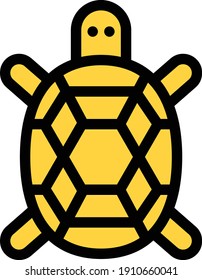 turtle vector color line icon
