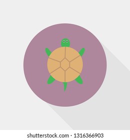 Turtle vector flat illustration