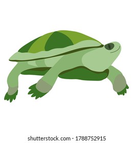 Turtle. Vector graphic drawing. Close-up. There are shades of green. Drawn by hand. Can be used for websites, stickers, collages, magazines, children's books.