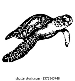 Turtle vector hand drawn illustration. Isolated on a transparent background