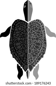 Turtle, vector icon