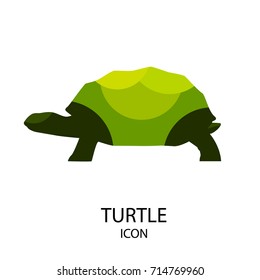 Turtle vector icon on white background. Flat design.