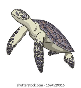 Schildkröte Vektorillustration Symbol.Cartoon Vektorillustration Symbol einzeln auf weißer Hintergrund Schildkröte.