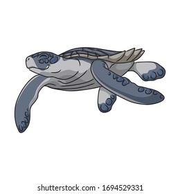 Turtle vector icon.Cartoon vector icon isolated on white background turtle.