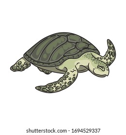 Turtle vector icon.Cartoon vector icon isolated on white background turtle.