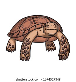 Turtle vector icon.Cartoon vector icon isolated on white background turtle.