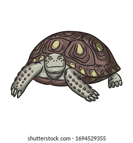 Turtle vector icon.Cartoon vector icon isolated on white background turtle.