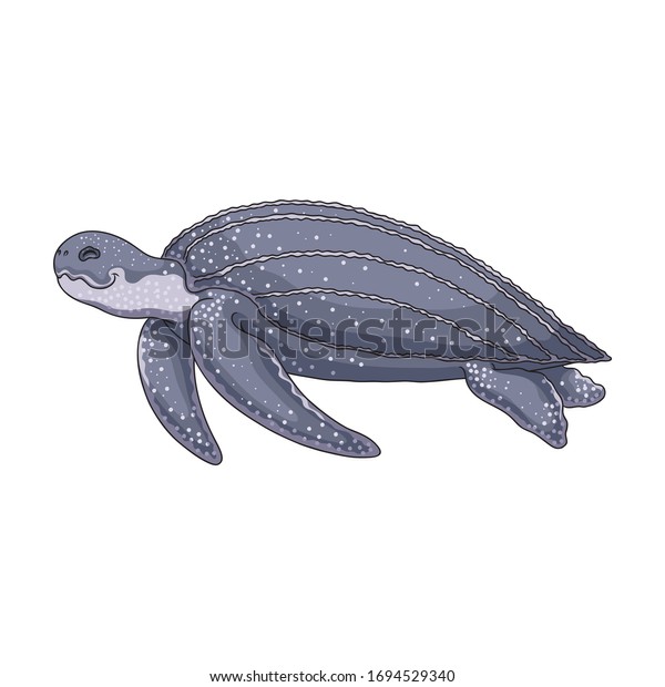 Turtle vector icon.Cartoon vector icon isolated\
on white background\
turtle.