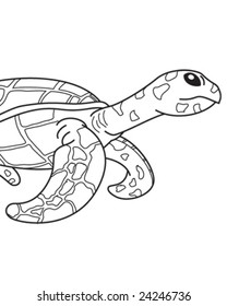 Turtle - vector illustration