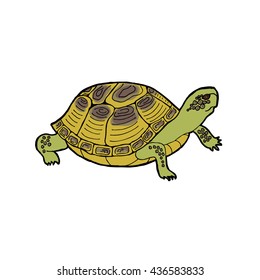 Turtle.  Vector illustration.