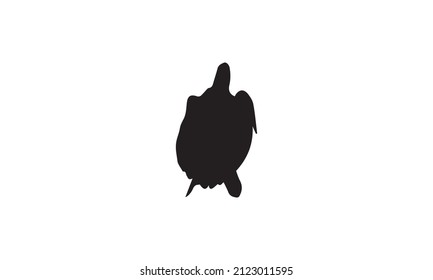 turtle vector illustration design black and white