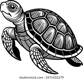 Turtle vector illustration eps 10