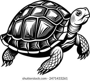 Turtle vector illustration eps 10