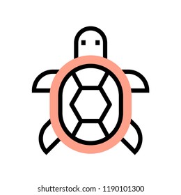 A turtle vector illustration in flat outline design