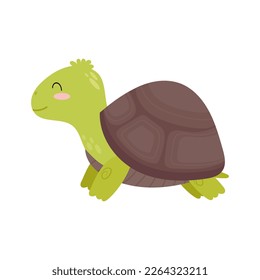 Tortuga. Ilustración vectorial de una tortuga de tierra. Tortuga sonriente.