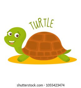 Turtle Vector illustration isolated