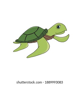 Turtle. Vector illustration of a sea turtle. Cartoon tortoise.