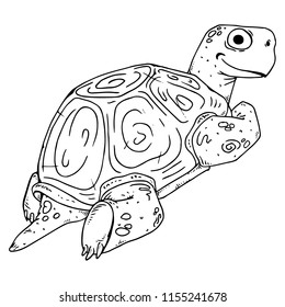 Turtle. Vector illustration of a sea turtle. Hand drawn cartoon tortoise.