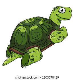 Turtle. Vector illustration of a sea turtle. Hand drawn cartoon tortoise.