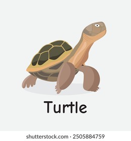 Turtle Vector Illustration: Slow-Moving Reptile Creature Design