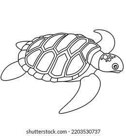 turtle vector image for coloring book.