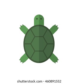  Turtle vector image. Water animals and fishes.