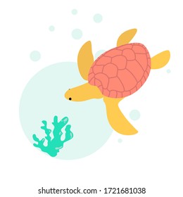 Turtle vector isolated flat illustration. Coral reef.