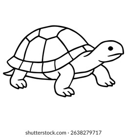 turtle vector realistic line icon on white background
Vector line icon animal, wildlife