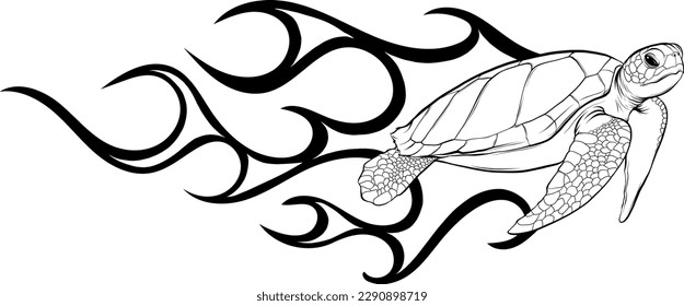 turtle vector with vintage outline style on white background