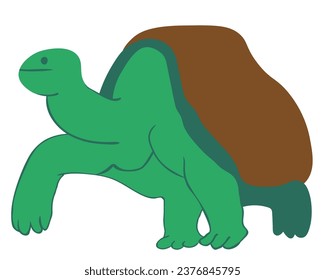 turtle in vector. wild animal in flat style. Template for poster logo icon for app website. Series of animal images in flat style
