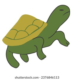 turtle in vector. wild animal in flat style. Template for poster logo icon for app website. Series of animal images in flat style