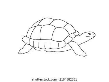 Turtle Vektor Ilustration Coloring Page Book Stock Vector (Royalty Free ...