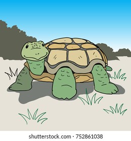 Turtle Walk. vector cartoon hand drawn