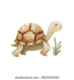 Turtle walking on four legs slowly
