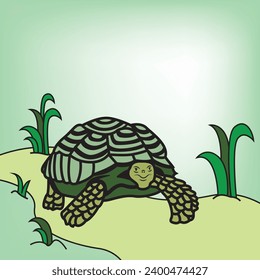 Turtle walking on the road
