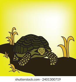 Turtle walking on the road